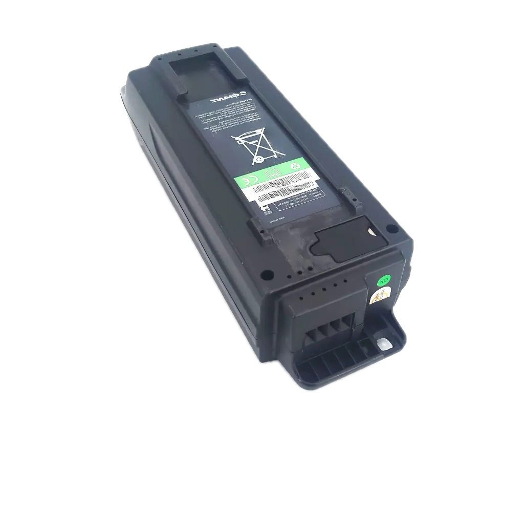 Batterie Giant EnergyPak 300(36V) (10Ah)_2.webp