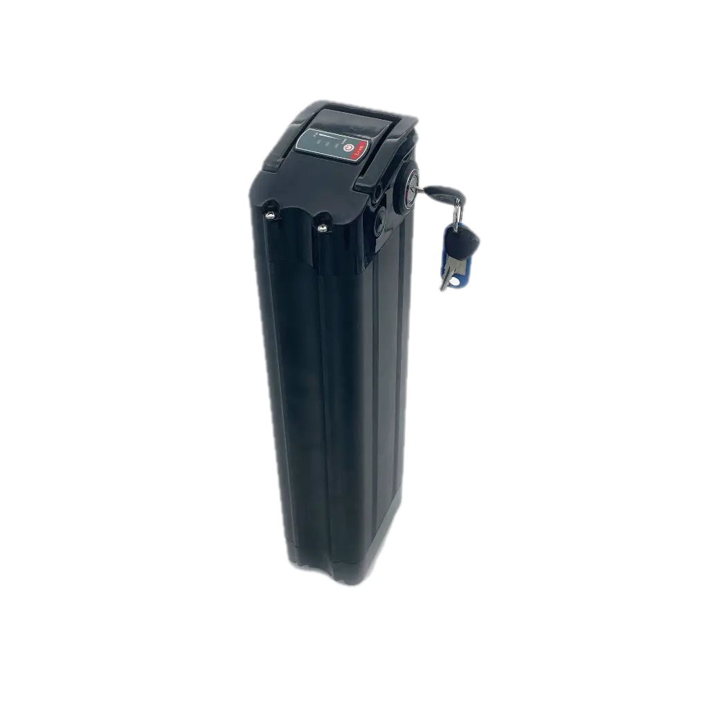 Batterie Velobecane 3.webp