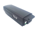 Batterie Giant EnergyPak 300 (36V)