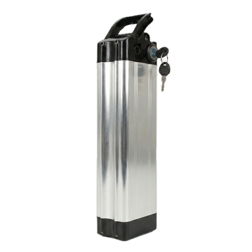 Silverfish